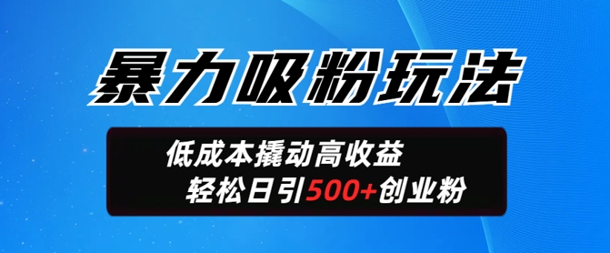 暴力吸粉玩法，日引500+精准创业粉，日变现轻松多张-融信e客