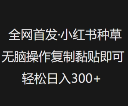 全网首发，小红书种草无脑操作，复制黏贴即可，轻松日入3张-融信e客