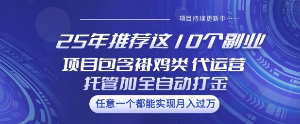 25年推荐这10个副业项目包含褂鸡类、代运营托管类、全自动打金类【揭秘】-融信e客
