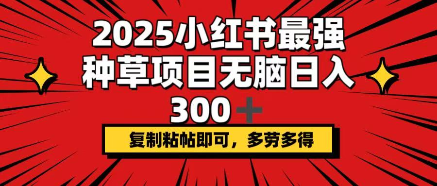 （14375期）2025小红书最强种草项目，无脑日入300+，复制粘帖即可，多劳多得-融信e客