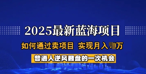 2025蓝海项目，普通人如何通过卖项目，实现月入过W，全过程【揭秘】-融信e客