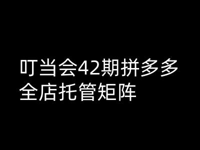 叮当会拼多多打爆班原创高阶技术第42期，拼多多全店托管矩阵-融信e客